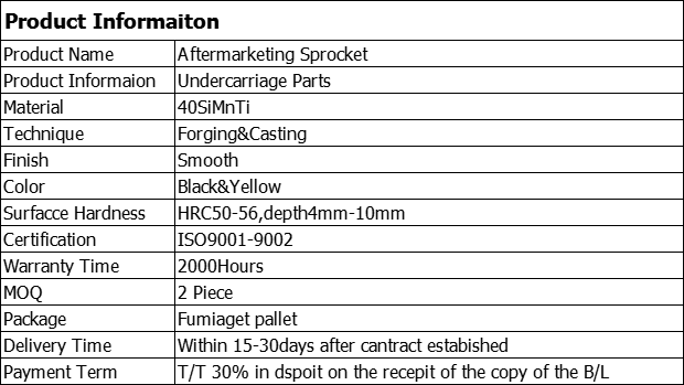 Segment information