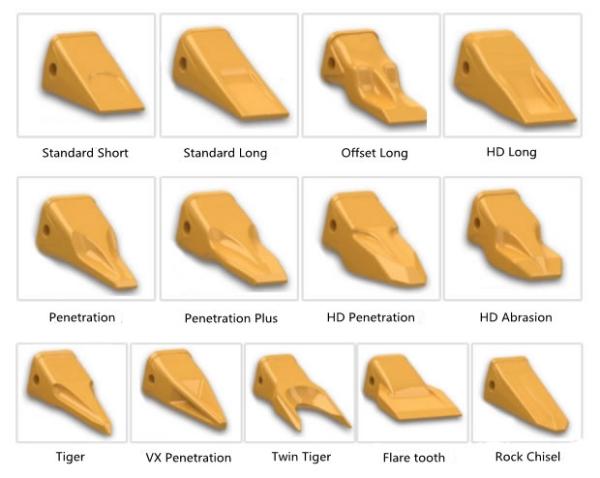 Bucekt teeth